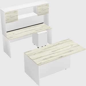 Executive parallel desk