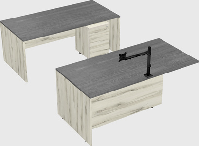 Bureau parallèle exécutif
