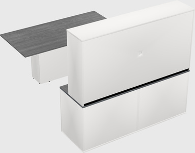Executive parallel desk with credenza