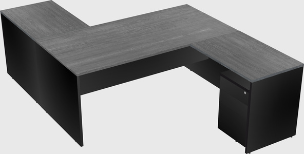Executive shared desk