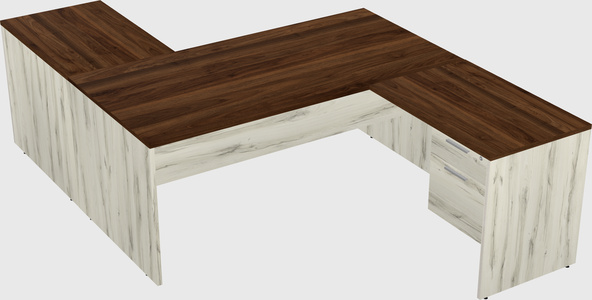 Executive shared desk