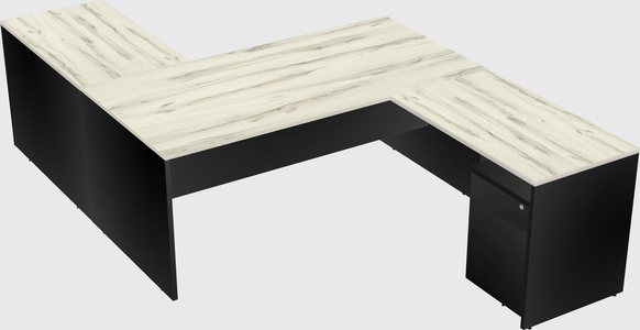 Executive shared desk