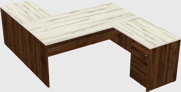 Executive shared desk