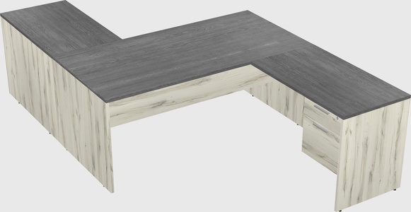 Executive shared desk