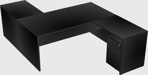 Executive shared desk