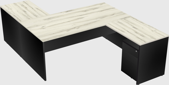 Executive shared desk