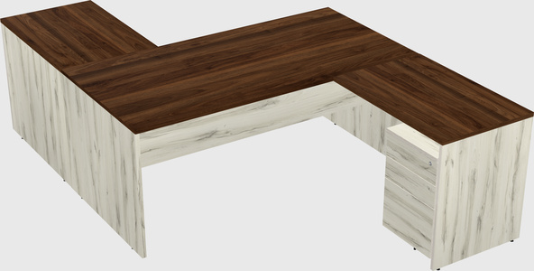 Executive shared desk