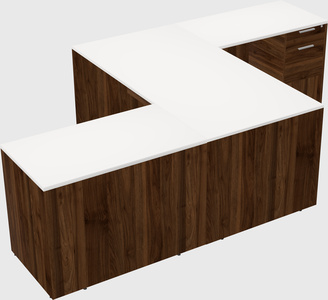 Executive shared desk