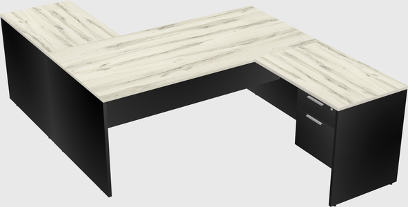 Executive shared desk