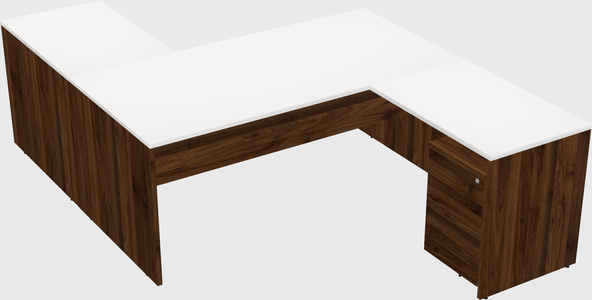 Executive shared desk