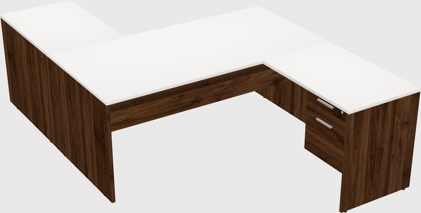 Executive shared desk