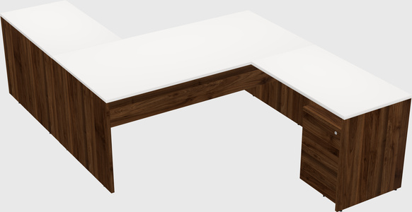 Executive shared desk
