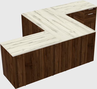 Executive shared desk