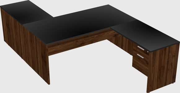 Executive shared desk