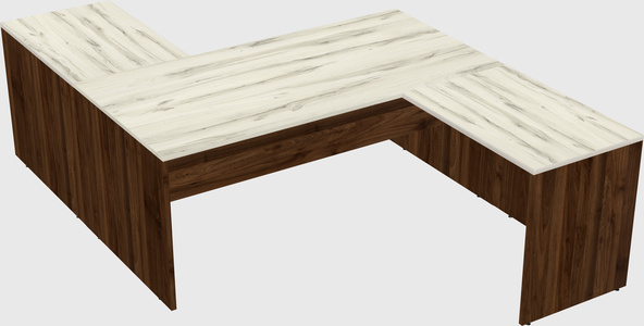 Executive shared desk