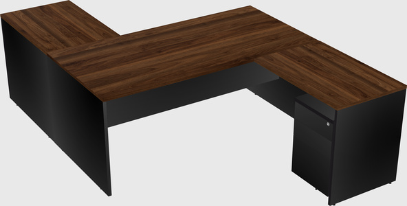 Executive shared desk