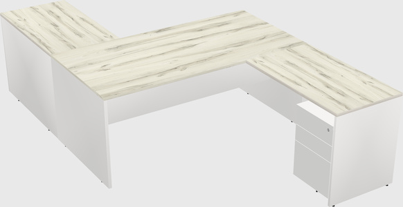 Executive shared desk