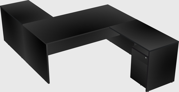 Executive shared desk