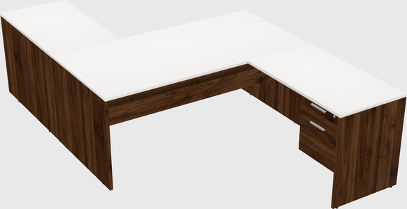 Executive shared desk