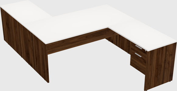 Executive shared desk