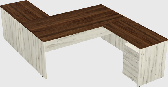 Executive shared desk