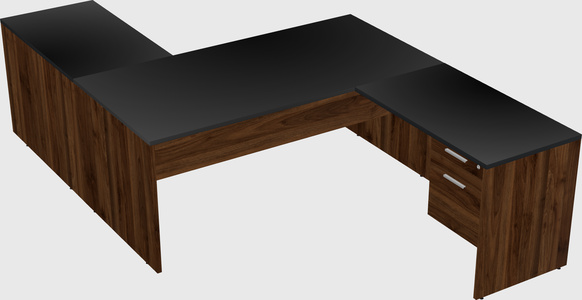 Executive shared desk