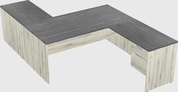 Executive shared desk