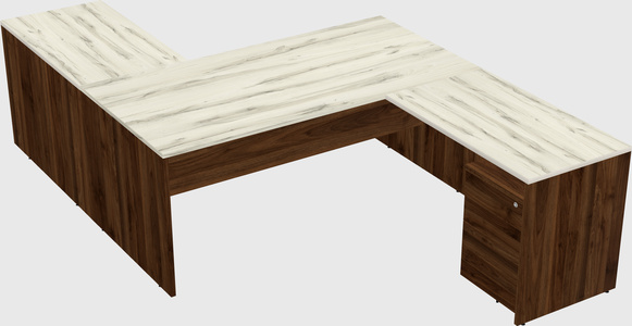Executive shared desk