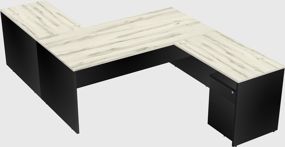 Executive shared desk
