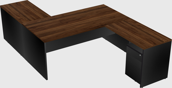Executive shared desk