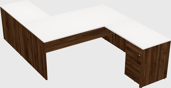 Executive shared desk
