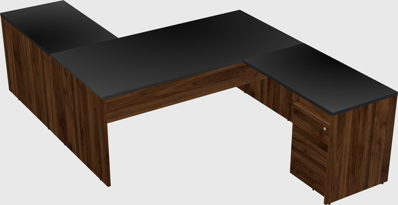 Executive shared desk
