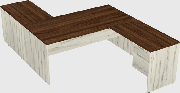 Executive shared desk