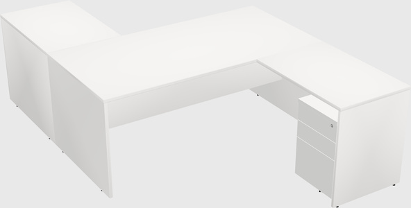 Executive shared desk