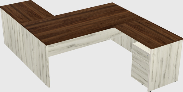 Executive shared desk