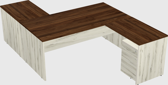 Executive shared desk