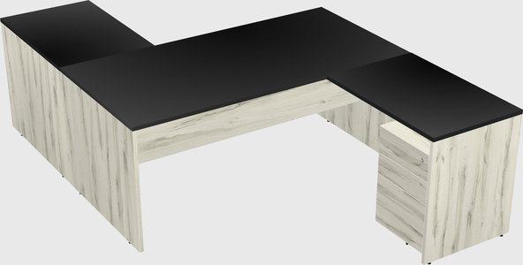 Executive shared desk