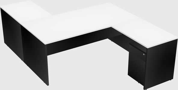 Executive shared desk