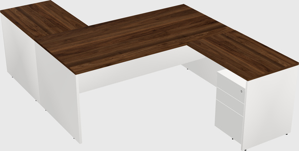 Executive shared desk