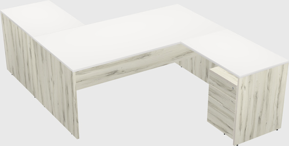 Executive shared desk