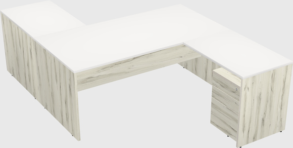 Executive shared desk