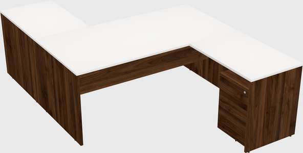 Executive shared desk