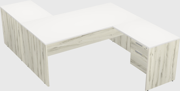 Executive shared desk