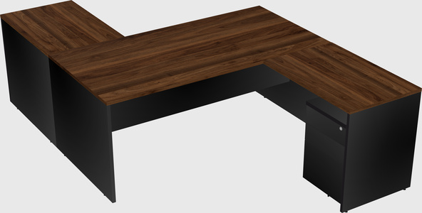 Executive shared desk