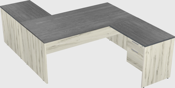 Executive shared desk