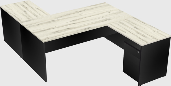 Executive shared desk