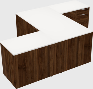 Executive shared desk