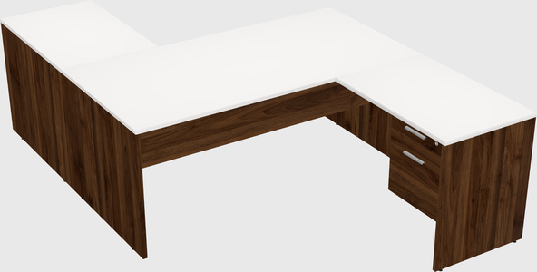 Executive shared desk