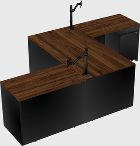 Executive shared desk