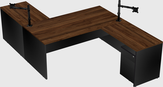 Executive shared desk